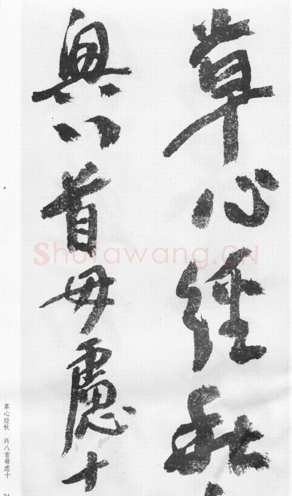 蒲华《跋张旭率意帖》