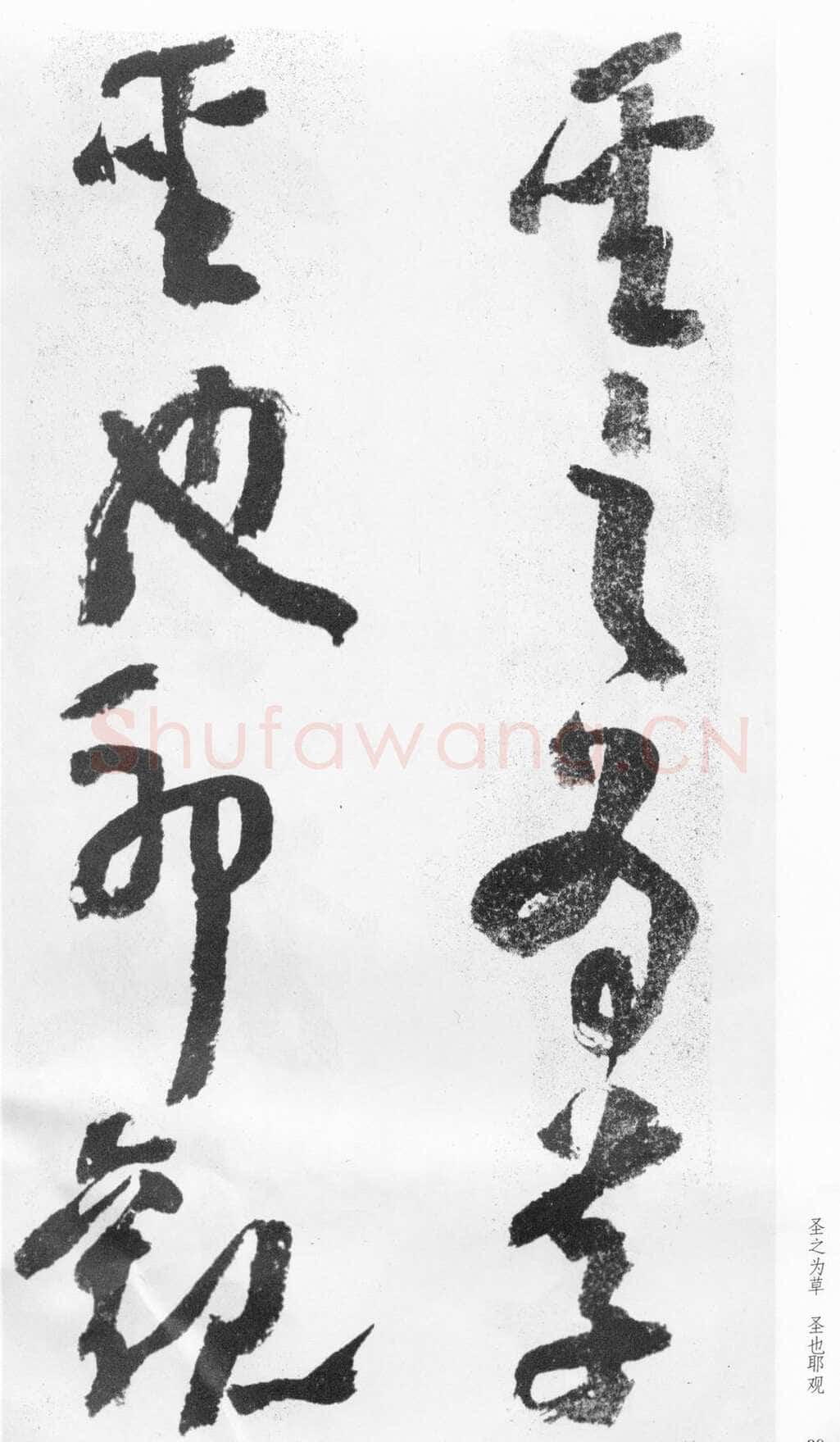 蒲华《跋张旭率意帖》
