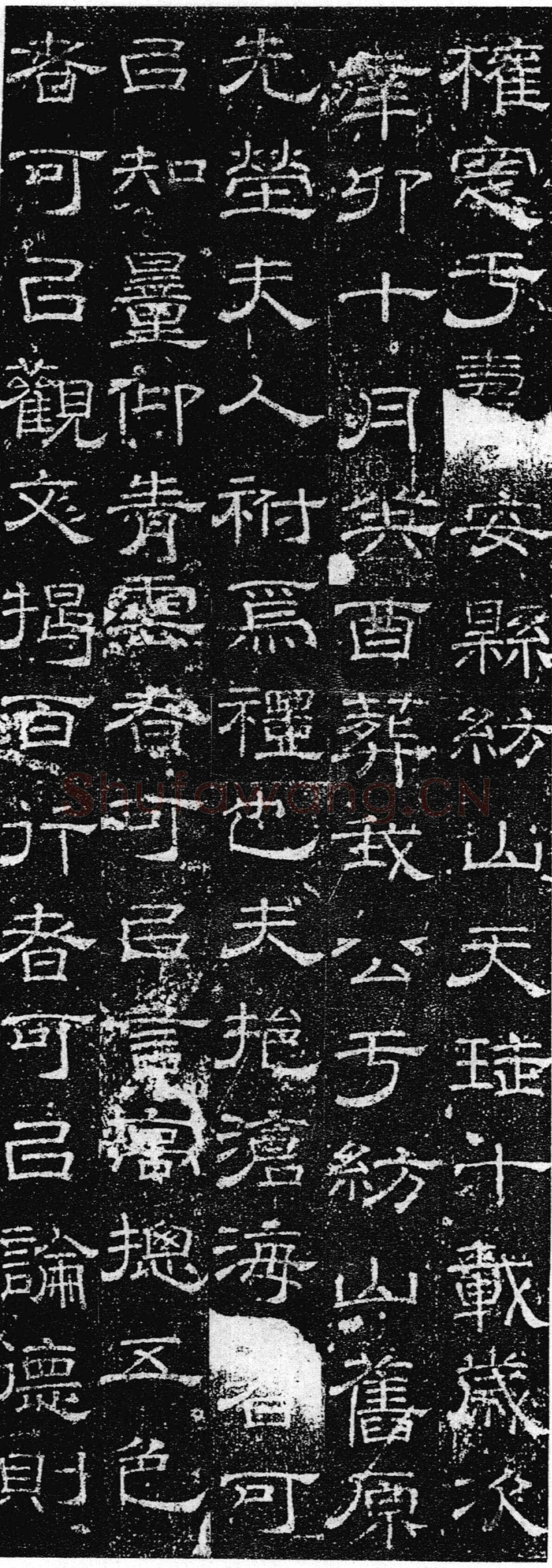 徐浩《张庭珪墓志》隶书