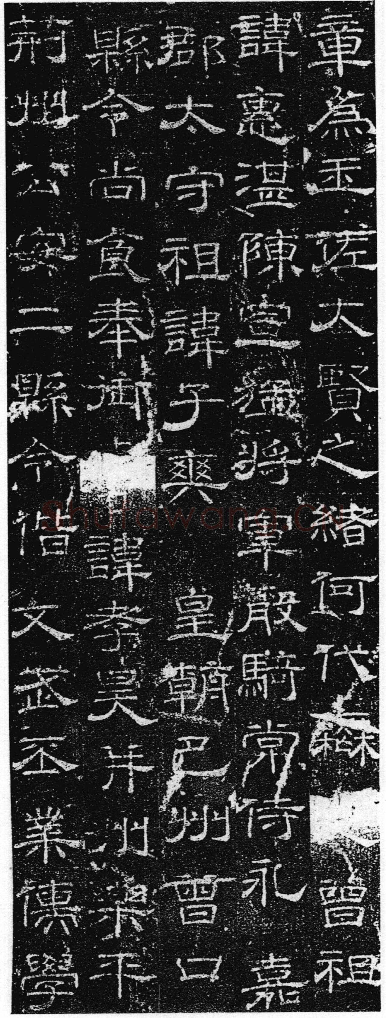 徐浩《张庭珪墓志》隶书