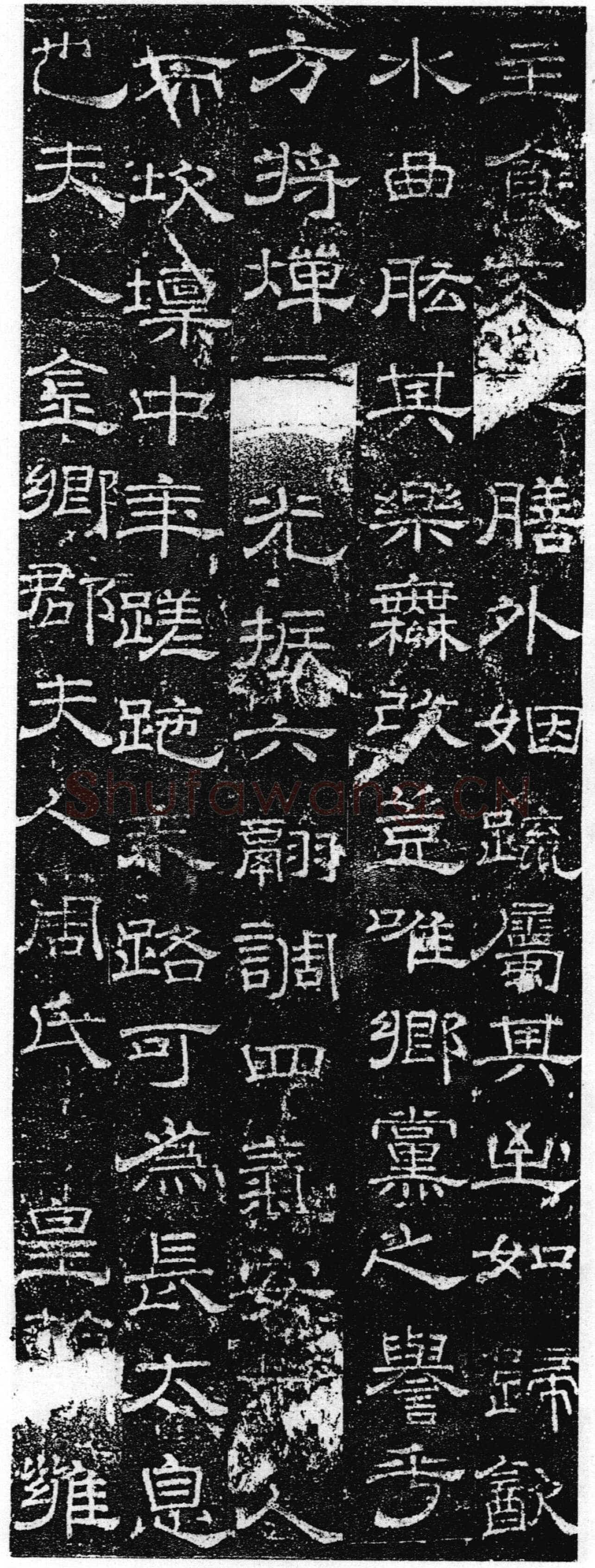 徐浩《张庭珪墓志》隶书