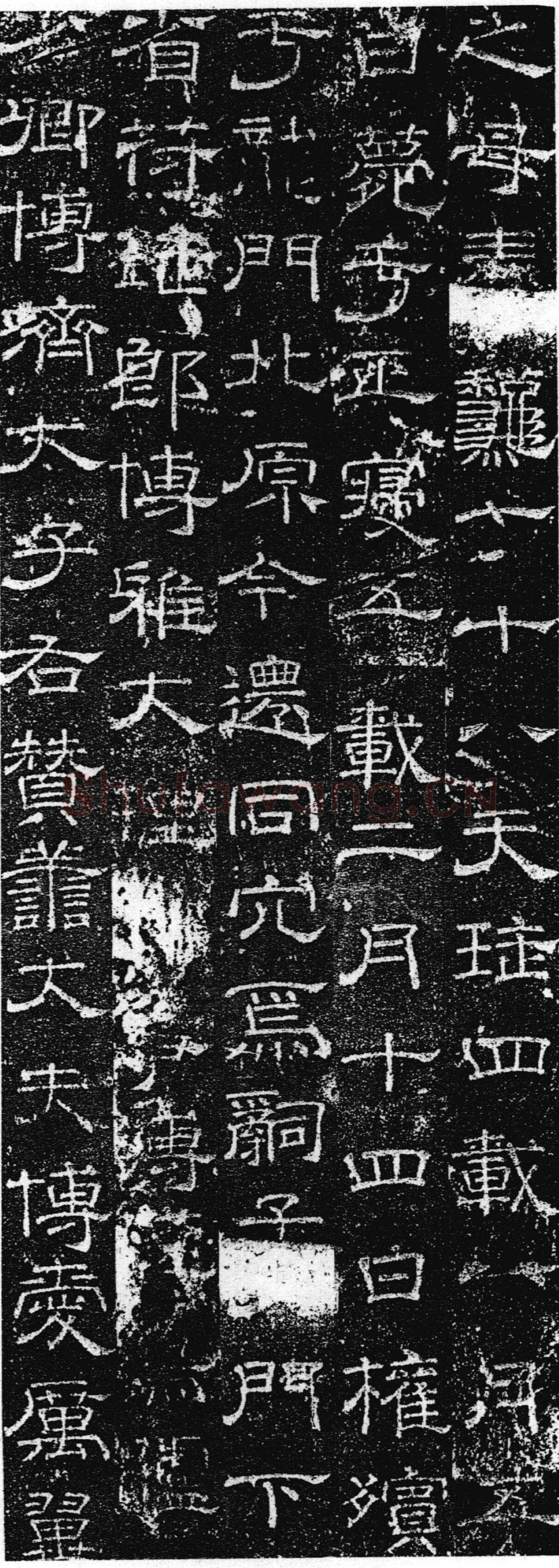 徐浩《张庭珪墓志》隶书