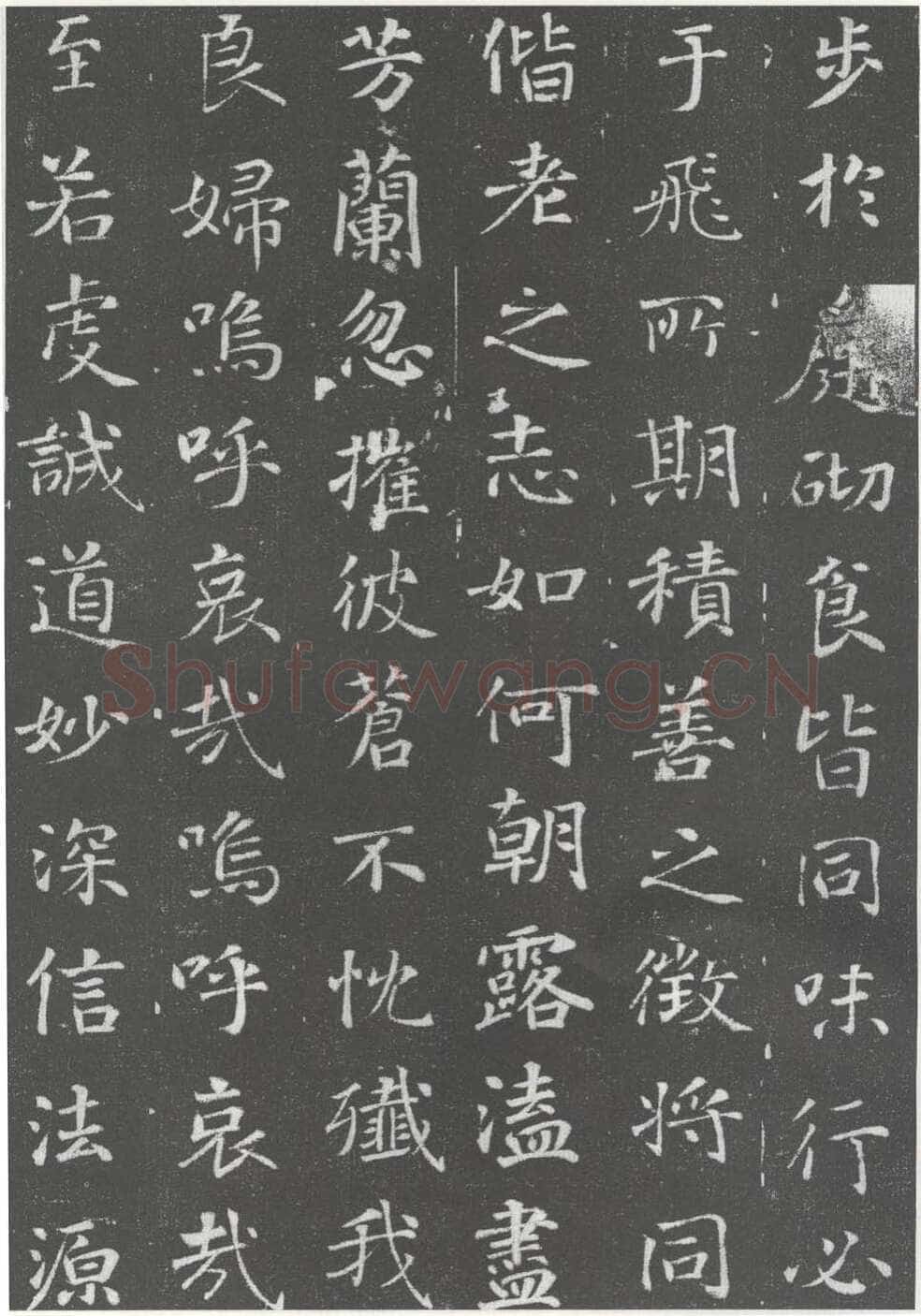 徐浩《李岘妻独孤峻墓志》