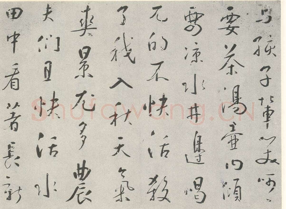 苏珥《行书农家乐、草书录药言句轴、草书录屠隆娑罗馆清言句轴》