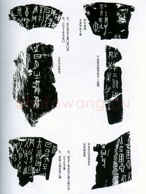 甲骨文拓片精选15甲骨文写法,摘自甲骨文拓片及其释文