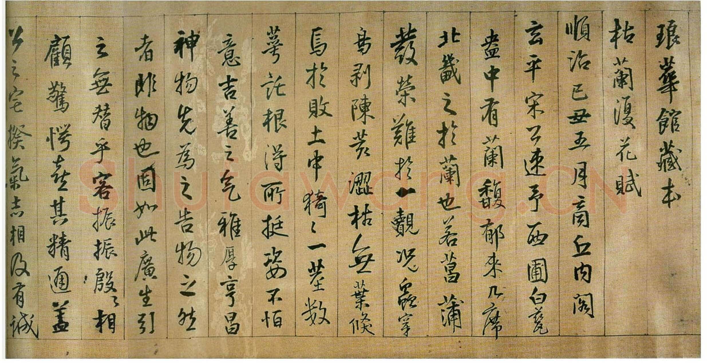 王铎《枯兰复花图卷》清顺治七年(己丑1649年)全卷32.6X1035.5cm 苏州博物馆藏