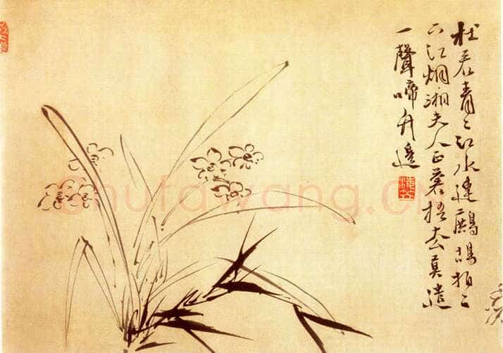 徐渭《水仙、菊石、兰花、墨竹、牡丹》