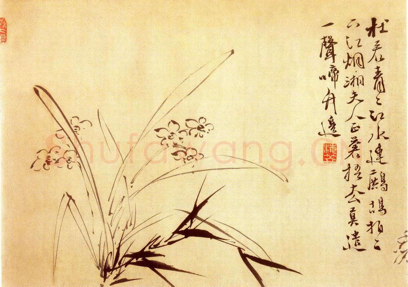 徐渭《水仙、菊石、兰花、墨竹、牡丹》
