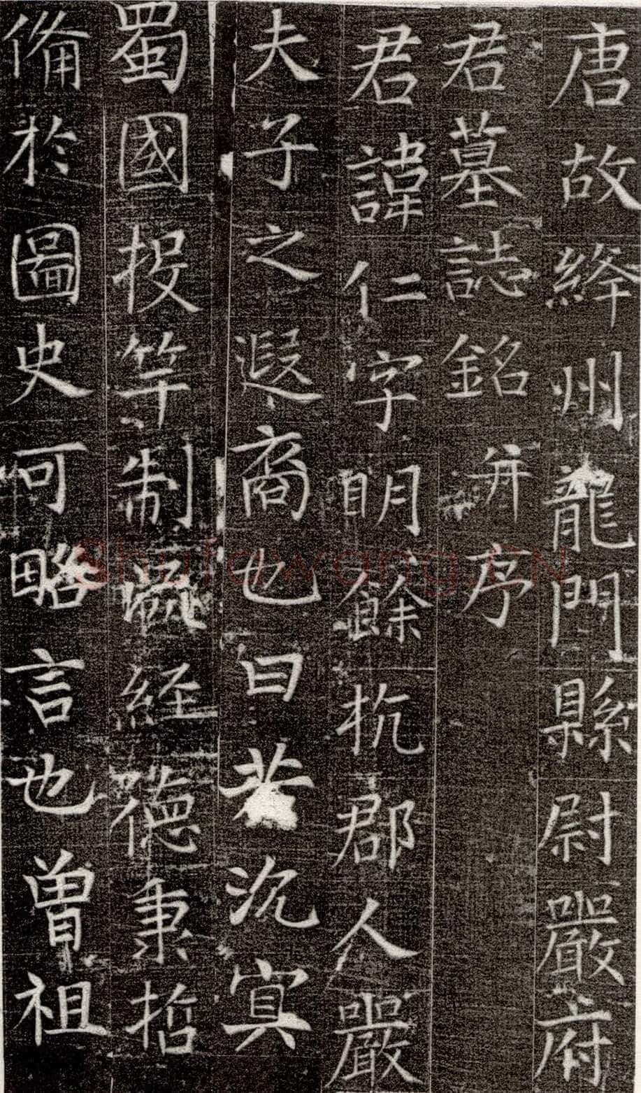 张旭《严仁墓志》