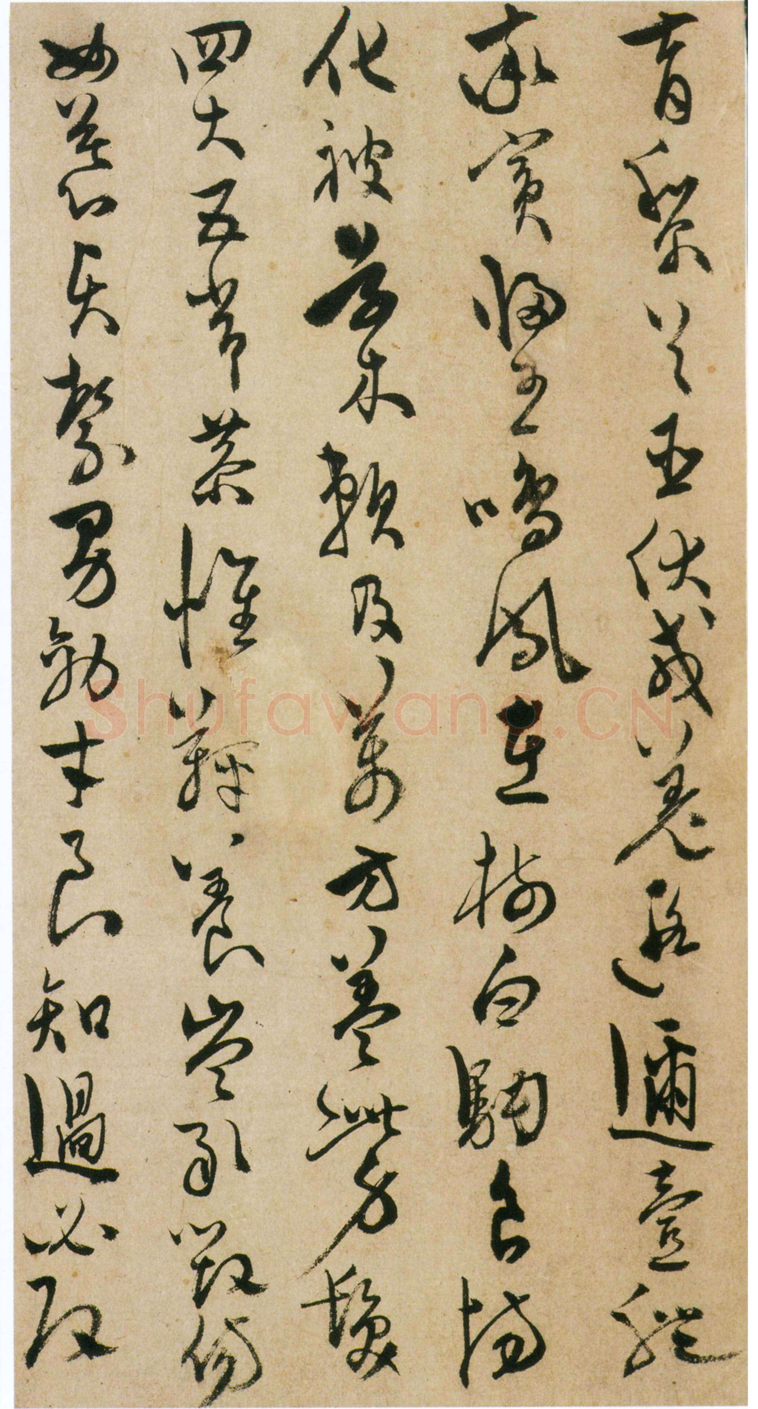 陈淳《草书千字文册》纸本 草书 32×16.5cm×17页 嘉靖十七年(1538)香港中文大学文物馆藏(北山堂捐赠)