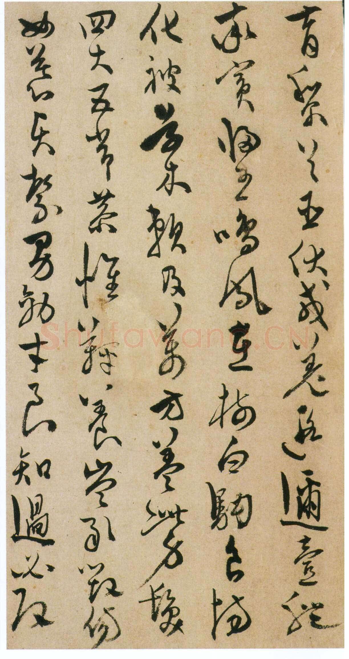 陈淳《草书千字文册》纸本 草书 32×16.5cm×17页 嘉靖十七年(1538)香港中文大学文物馆藏(北山堂捐赠)