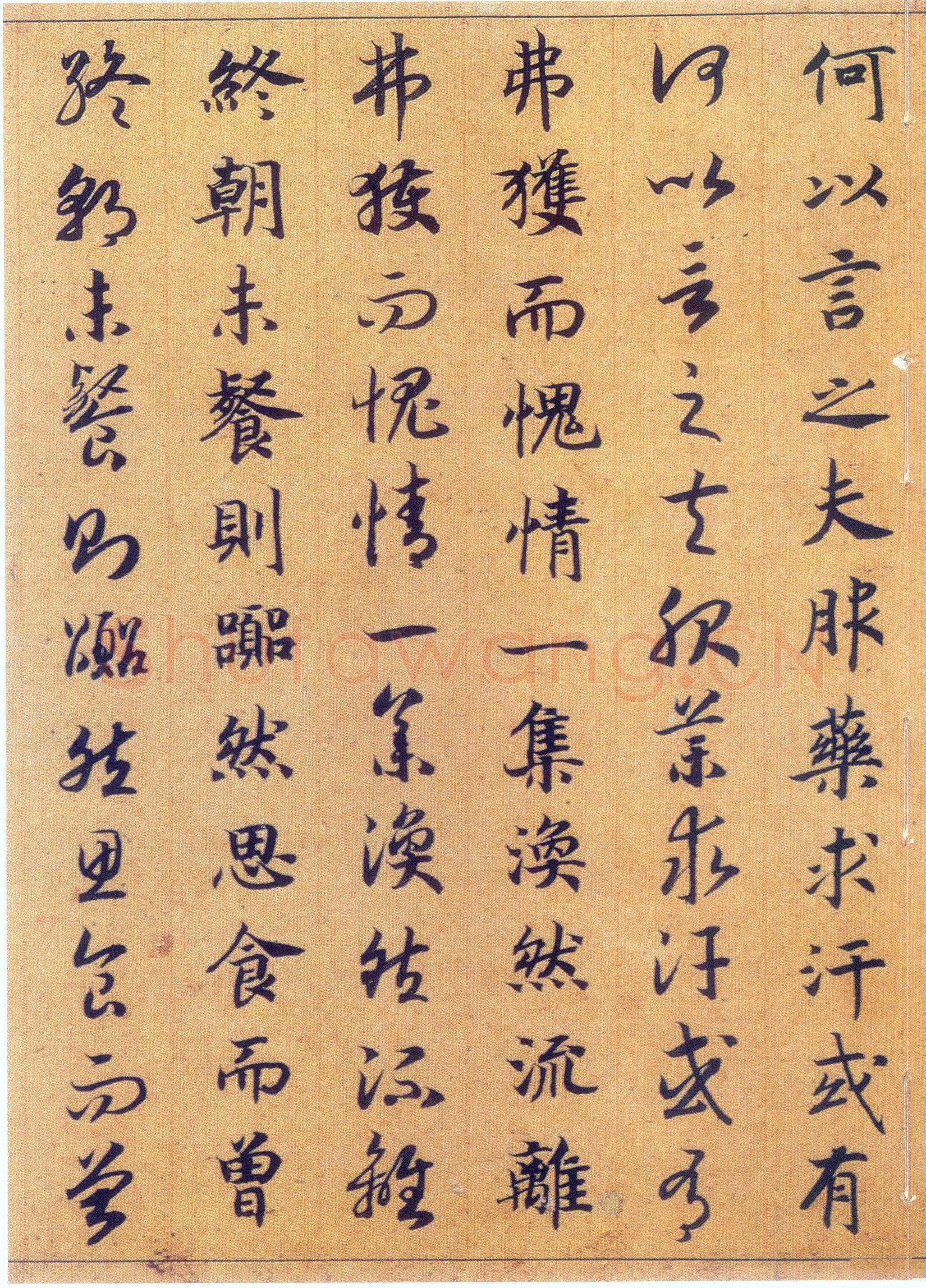 赵构《真草书养生论卷》纸本 23.5×602.8cm 上海博物馆藏