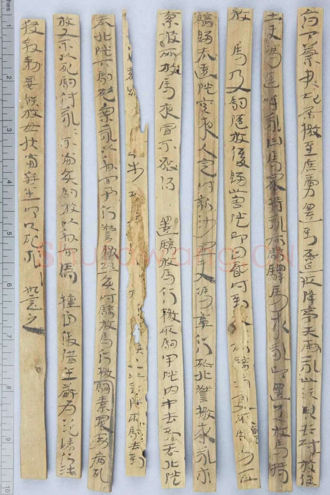 居延误死马驹册汉墨迹作品欣赏,摘自秦汉居延误死马驹册