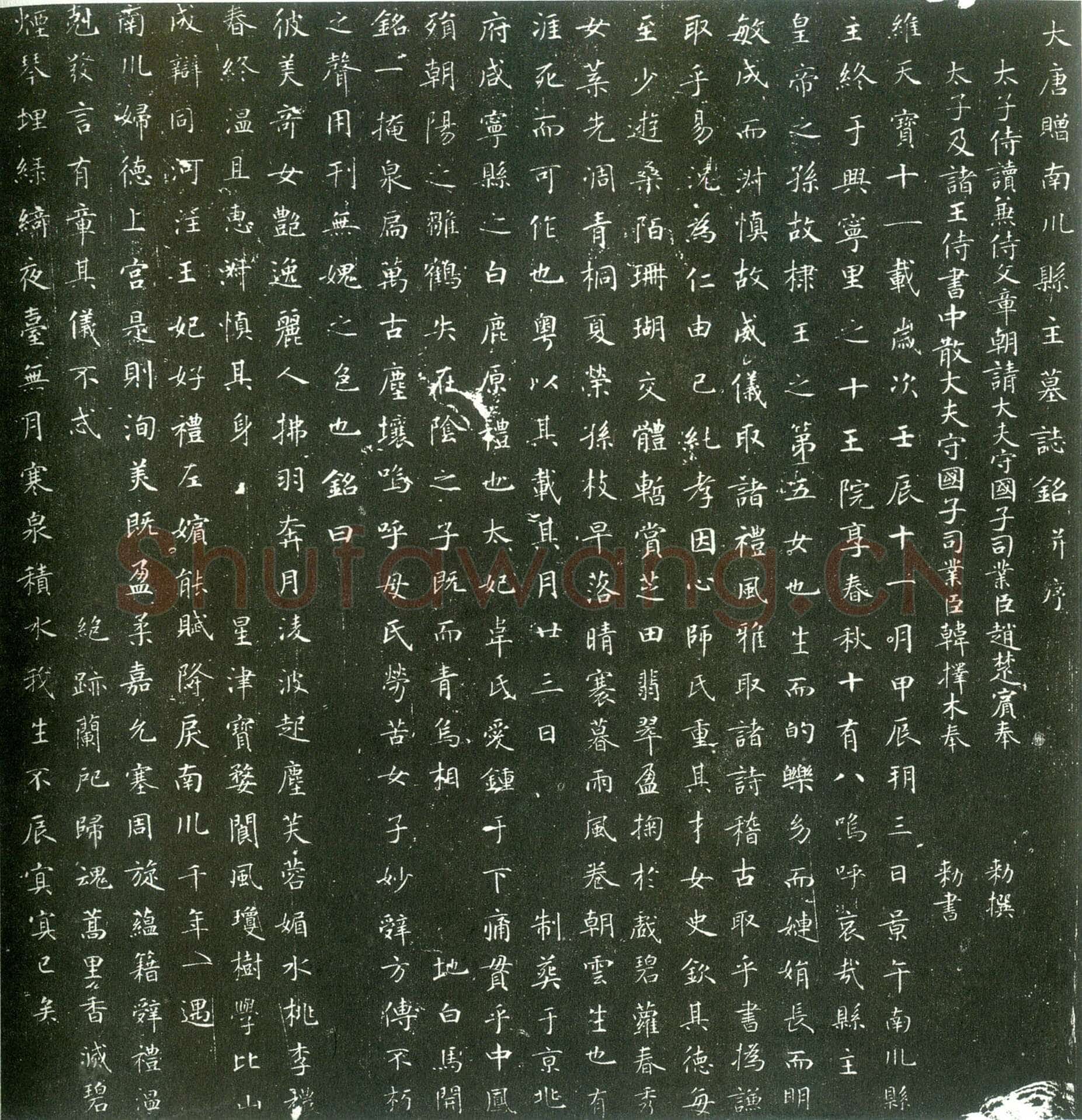 唐代 韩择木《叶慧明碑 荐福寺临坛大戒德律师碑 南川县主墓志 南川县主墓志》局部