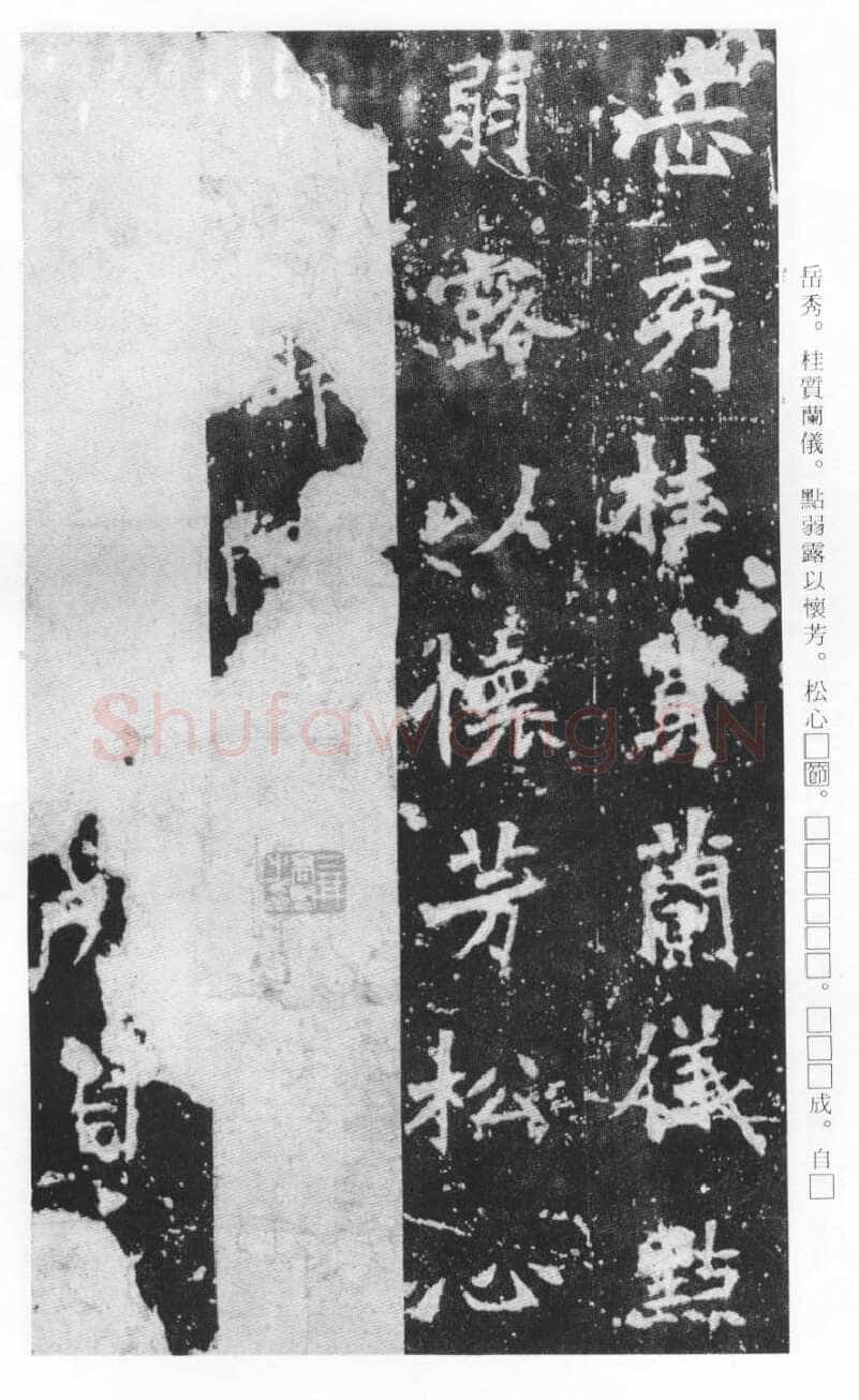 张猛龙碑前秦北朝碑刻碑拓,摘自前秦北朝张猛龙碑(全本)