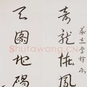 近现代王蘧常《草书奇龙天图七言联》