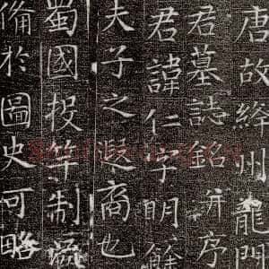唐代张旭《严仁墓志》