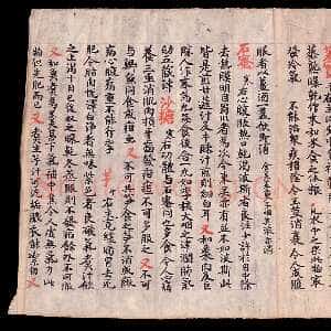 敦煌书法《食疗本草》