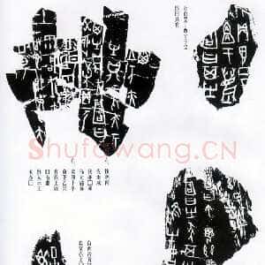 甲骨文拓片精选11