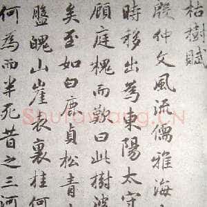 元代赵孟頫《临褚遂良枯树赋》纸本 行书 资料不详