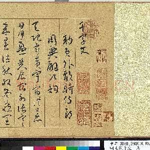 明代王宠《千字文卷》纸本 行书 27.8×460.6cm 嘉靖六年(1527)台北故宫博