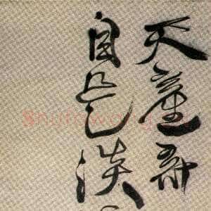 明代徐渭《行草天产奇葩七言诗轴》纸本188.9×46.8cm 台北故宫博物院藏