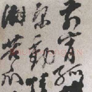 清代石涛题花卉图册
