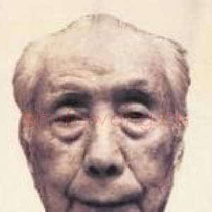 近现代 楚图南 楷书《桐花万里丹山路》