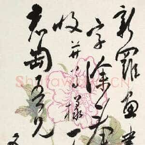近现代白蕉《致君匋五月十三日札》1955年