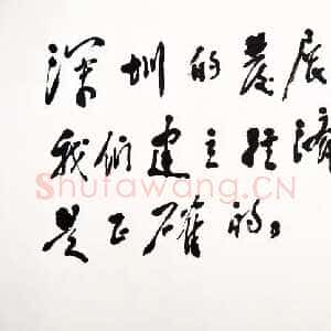 近现代邓小平为深圳经济特区题词1984